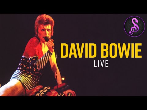 David Bowie: Live | Full Music Documentary | Stream Music and More