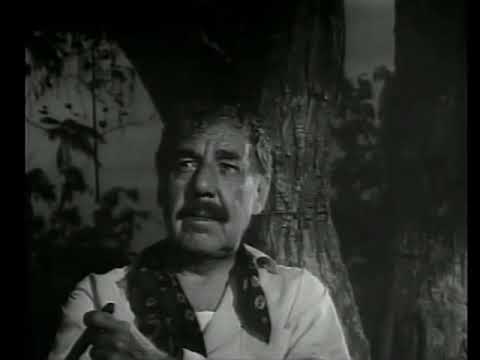 Ingrato Amor - Los Alegres de Teran (buena calidad)