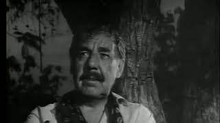 Ingrato Amor - Los Alegres de Teran (buena calidad)