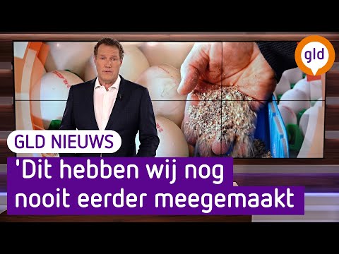 GLD Nieuws 24 maart 2022