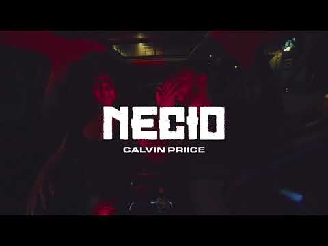 Calvin Priice - Necio [Visualizer] | Lyrics