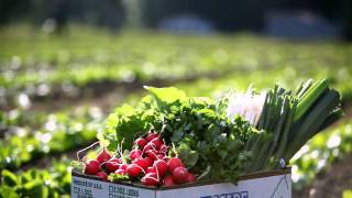 Fred Meyer - Discover Local