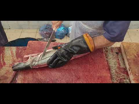 Slice Fish with Client Requirement। King Fish $ 50 Slice at Fish Market। Fish Cutting, Processing