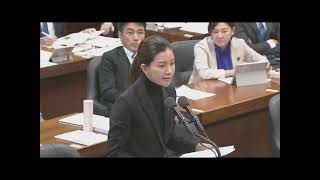 参政党・吉川里奈委員　～外国人比率の実態調査、地域住民ヒアリング、受け入れコストの体系的試算、外国人賃金低下、経営管理ビザ悪用、選択的夫婦別氏制度等を問う。（2025年11月19日 衆議院法務委員会）