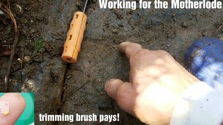 Clearing brush on bedrock for GOLD PAYS OFF! S2 ep 21 "wrkn 4 motherlode" ep22 trailer