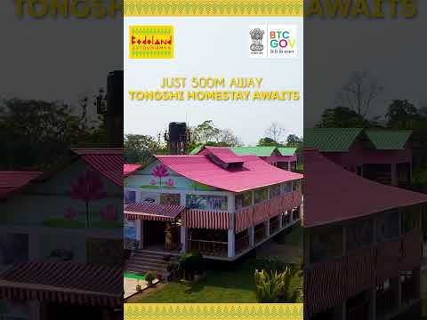 Explore Tongshi Homestay