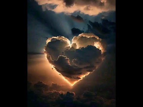 TRANCE TRAXX 24.12.2023.