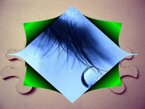 W3nda’s Video 113643864470 4HB6FEHSOAg