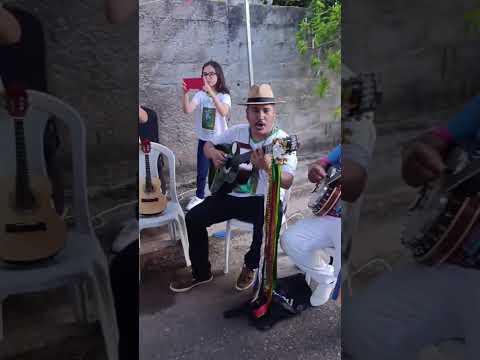 festa de São Benedito Machado Minas gerais