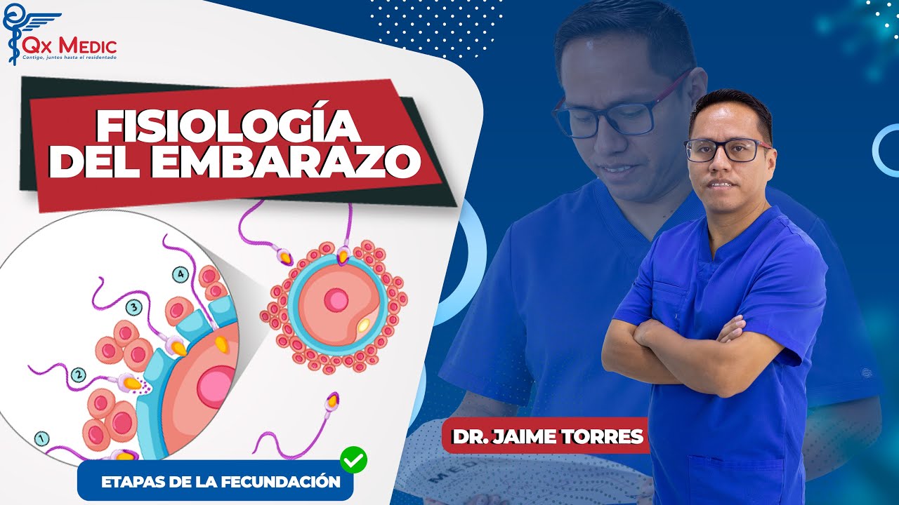Fisiología del embarazo
