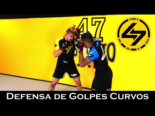 Vídeo relacionado con FITIZ Muñeco de boxeo para artes marciales mixtas (sin relleno) brasileño BJJ JIU Jitsu, posición de pie, chupete para lucha, artes marciales, boxeo, karate, entrenamiento (70 pulgadas, negro/azul)
