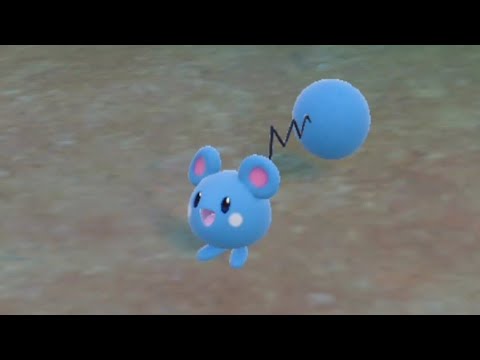 How to Find Azurill in Pokémon Scarlet & Violet