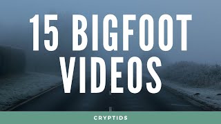 15 REAL Bigfoot Videos 2019
