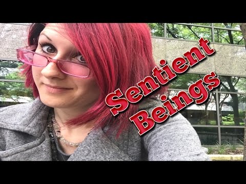 Talking About My Buddhist Vows - Sentient Beings