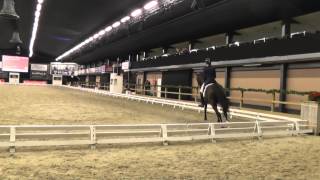 Video of Sir Willy
