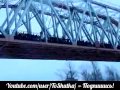 Массовое "самоубийство" с моста 