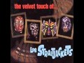 Los Straitjackets - Hornets nest.