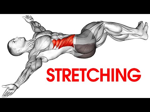 Do This Morning Stretches Every Day!