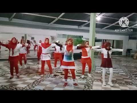 LINE DANCE UNTUK INDONESIAKU-TANAH AIRKU -DIRGAHAYU INDONESIA KE 78🇮🇩♥️