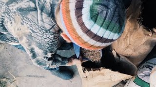 This Chicken Feed Will Last FOREVER-ISH