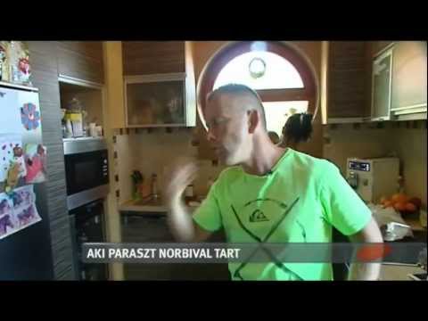 Izomépítés és zsírégetés egyszerre?