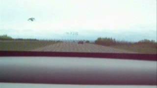 Is it brilliant where you are?