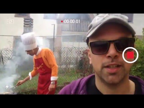 FURIOLOGY il primo mese