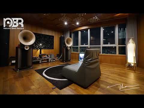 Best Audiophile Voices 2023   Hi Res Music 32 Bit   Natural Beat Records