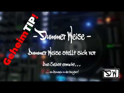 Dummer Weise stellt sich vor