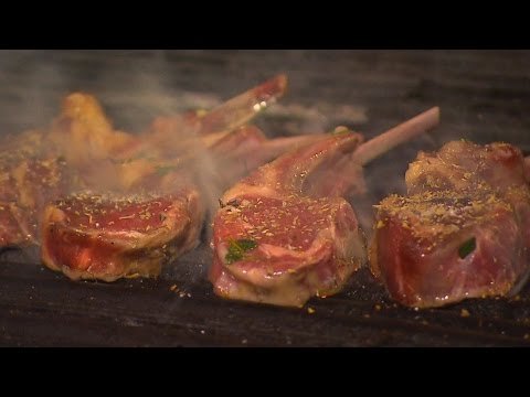 download lagu mp3 mp4 Lamb Vs Goat, download lagu Lamb Vs Goat gratis, unduh video klip Lamb Vs Goat