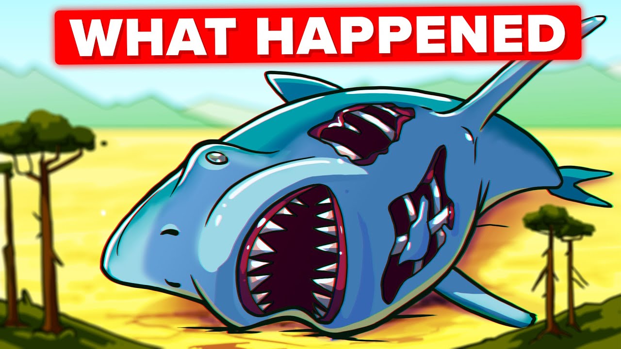 What killed the Megalodon?