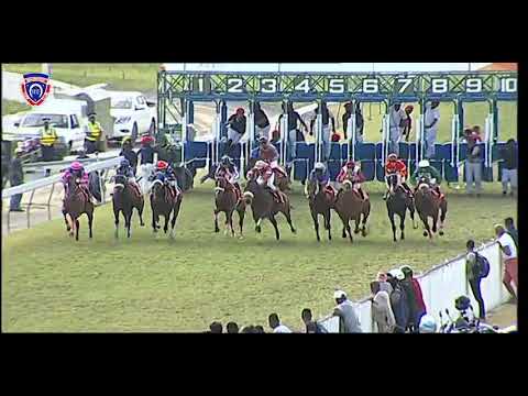 RM25 R7 | Till Dawn | R.Simons