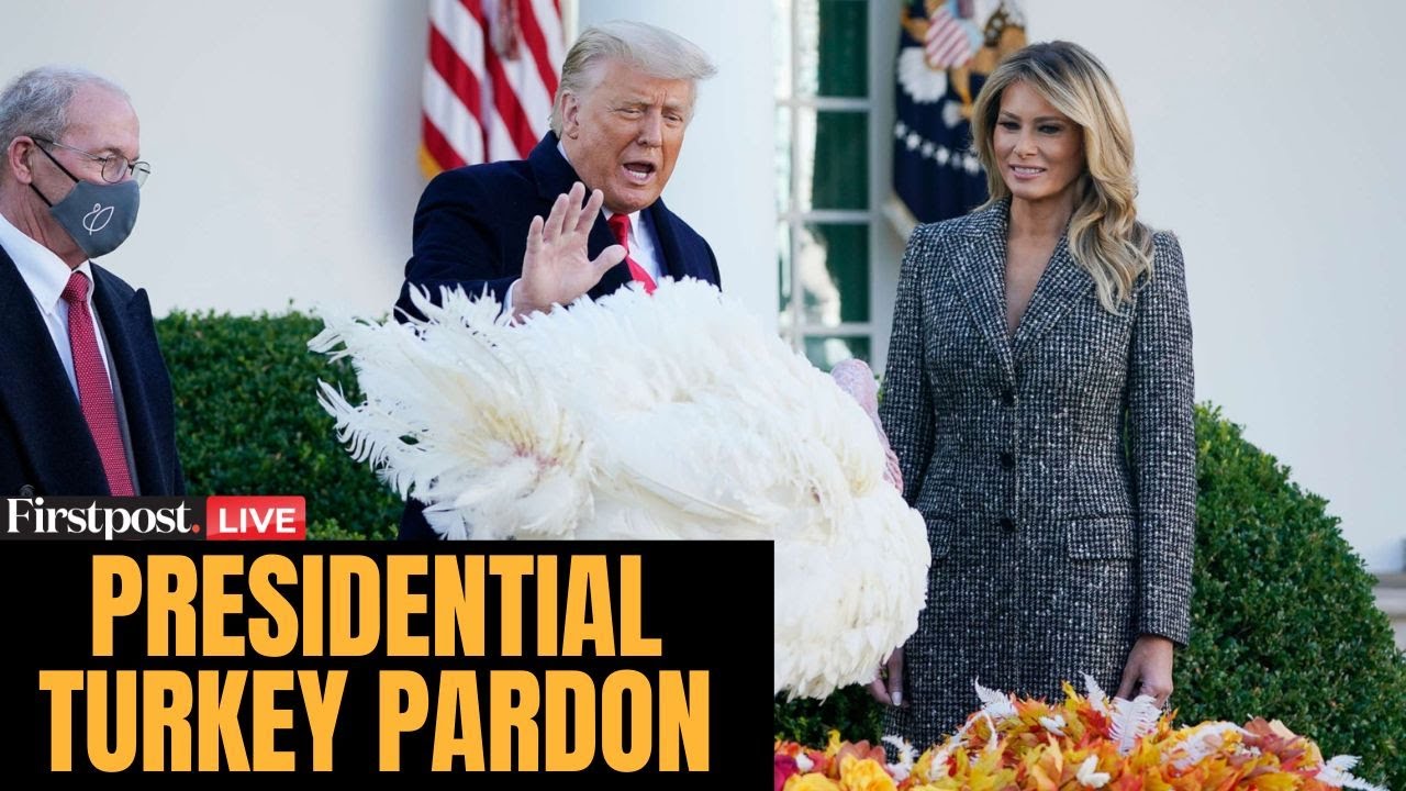 US President Turkey Pardon LIVE: Trump Pardons Turkey | Thanksgiving Turkey Pardon |US Turkey Pardon