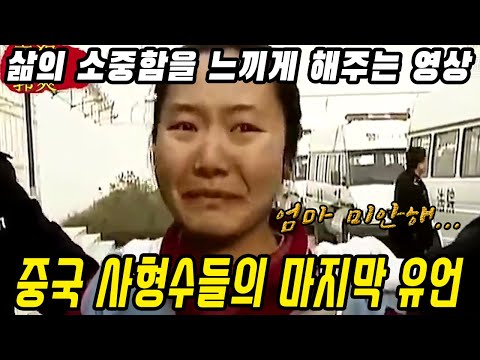 아이콘