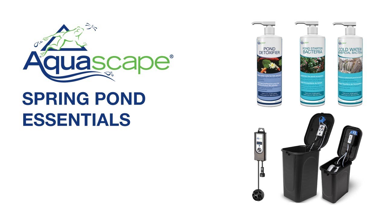 How to Take Care of Your Pond in the Spring