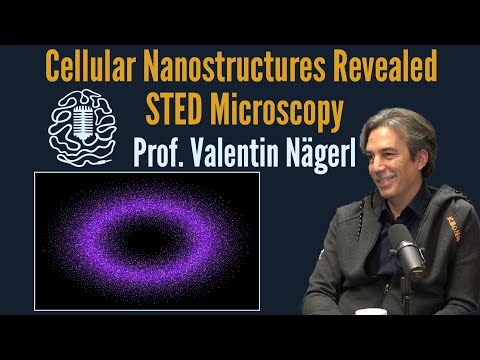 Resolution Beyond Classical limits - The Revolution of STED Microscopy