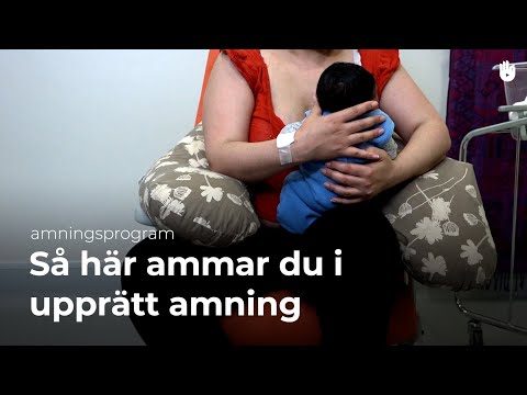 Amningsprogram - Så här ammar du i upprätt amning