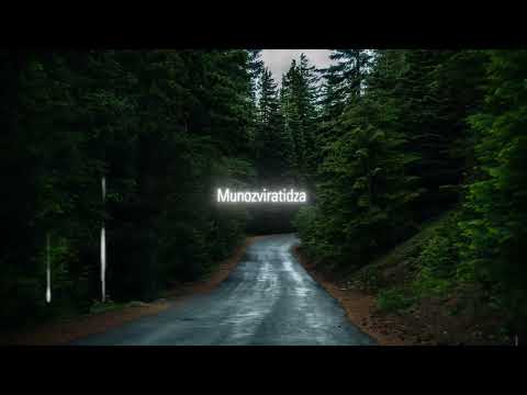 Tinashey Mutandwa - Kana Zita renyu radanwa (visualizer)