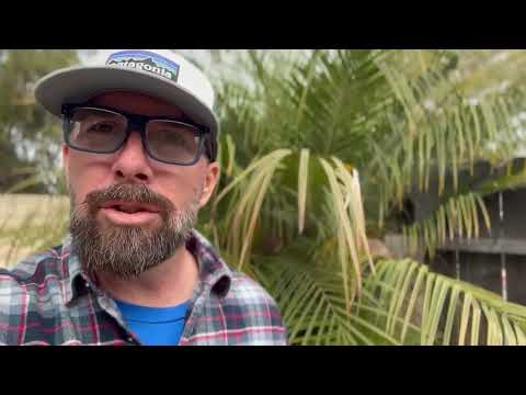 Reduce Your Business Costs with Efficient Payment Processing: Essential Tips for Small Business Owners and Restaurants