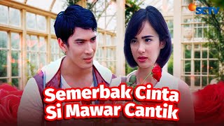 Download lagu FULL FTV SCTV Semerbak Cinta Si Mawar Cantik | Pamela Bowie dan Ridho Illahi mp3 Download lagu FULL FTV SCTV Semerbak Cinta Si Mawar Cantik | Pamela Bowie dan Ridho Illahi mp3