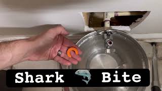 How To Remove Shark 🦈 Bite Plumbing Products