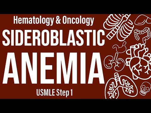 Sideroblastic Anemia (Heme/Onc) - USMLE Step 1