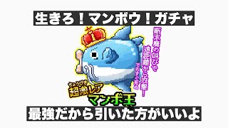 にゃんこ大戦争、めんどくさい人あるある