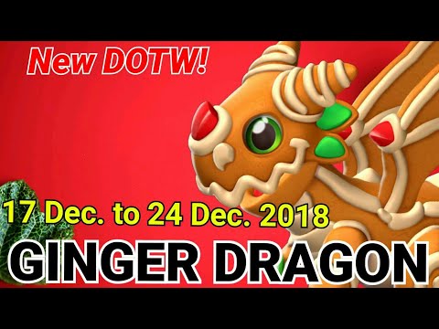 GINGER DRAGON Breeding Guide | New DOTW | Dragon Mania Legends