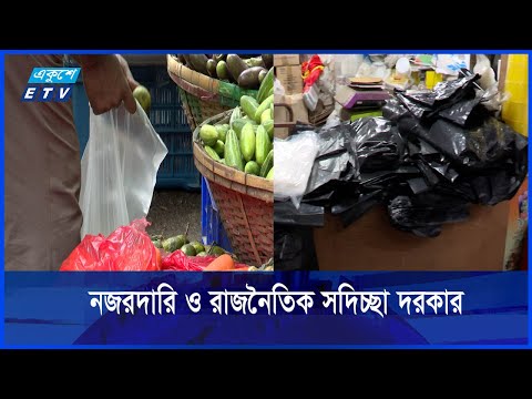 বিকল্প ব্যাগ ব্যবহারে মানুষকে সচেতন করার তাগিদ
