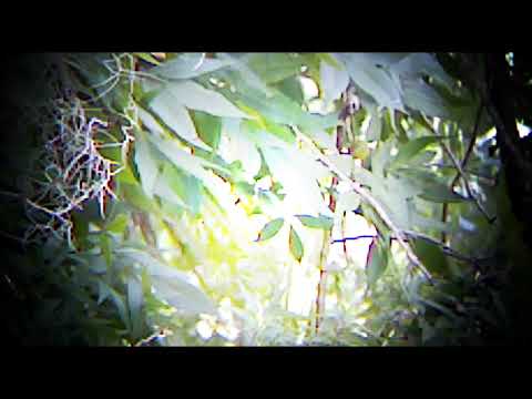 ▲{½hour}Continuous DJ Mix △ Chill Music △EP0132 Ze.rhythmZ▲