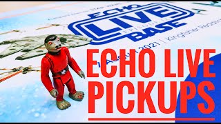 ECHO LIVE Review & Pickups