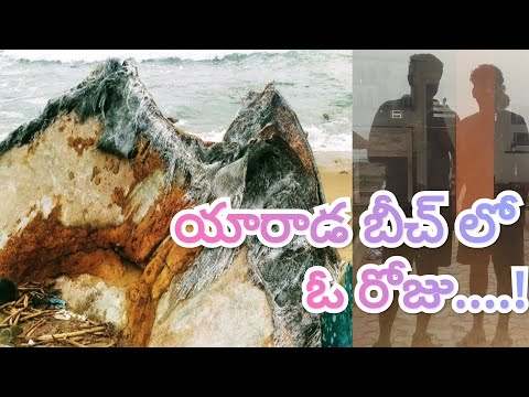 A Day At The Yarada Beach || 🌾Voice Of HAREESH⚔️ || #beach #plastic #oceanlife #naturephotography