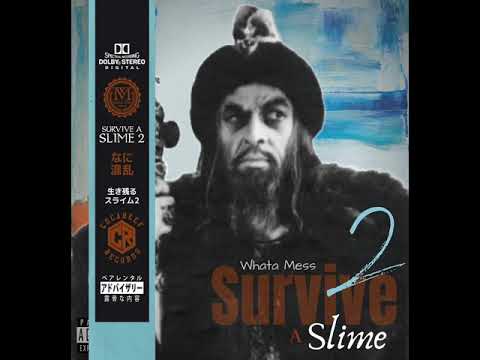 Whata Mess - Slime Buckets