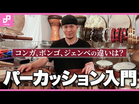 [Percussion Introduction] Explaining the differences between congas, bongos, and djembes